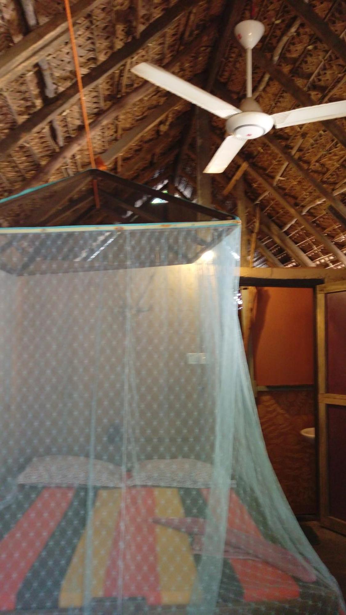 Beach Hut Arugam Bay Oda fotoğraf